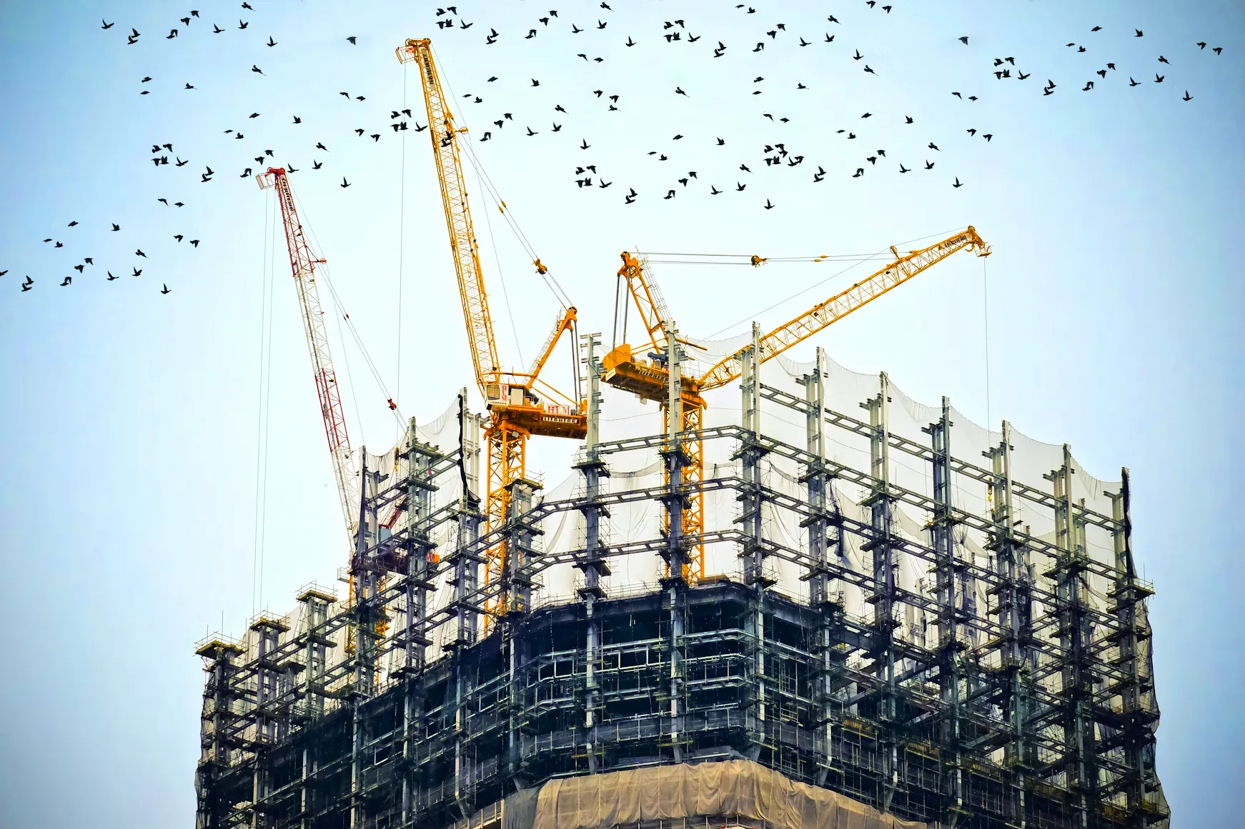 Tower cranes above a steel-frame structure under construction.